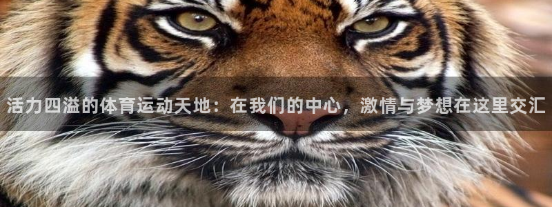 谈球吧体育：活力四溢的体育运动天地：在我们的中心，激情与梦想在这里交汇