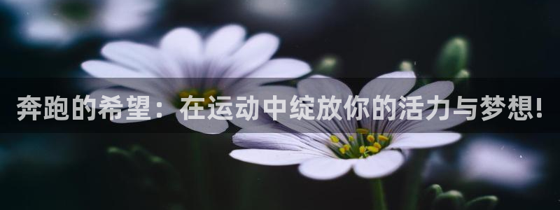 谈球吧：奔跑的希望：在运动中绽放你的活力与梦想!