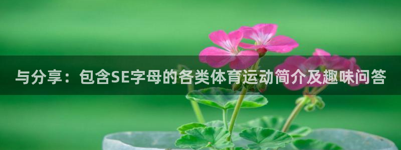 谈球吧：与分享：包含SE字母的各类体育运动简介及趣味问答
