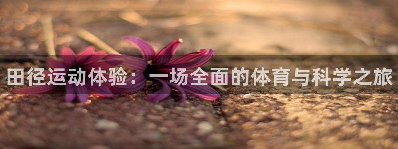 谈球吧体育：田径运动体验：一场全面的体育与科学之旅