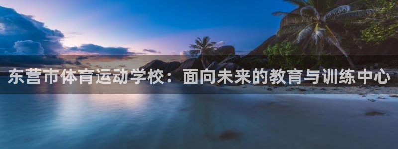 谈球吧：东营市体育运动学校：面向未来的教育与训练中心
