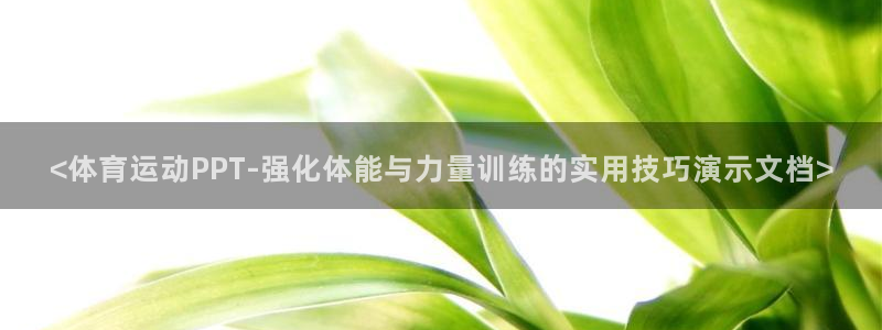 谈球吧体育官网：<体育运动PPT-强化体能与力量训练的实用技巧演示文档>