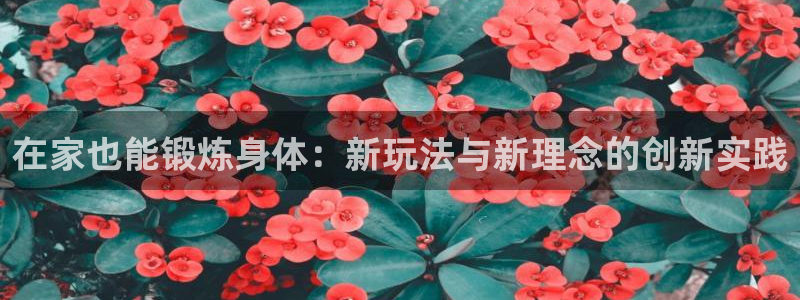 谈球吧体育：在家也能锻炼身体：新玩法与新理念的创新实践