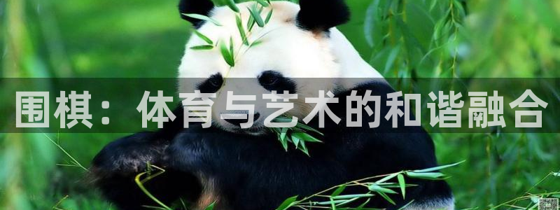 谈球吧：围棋：体育与艺术的和谐融合