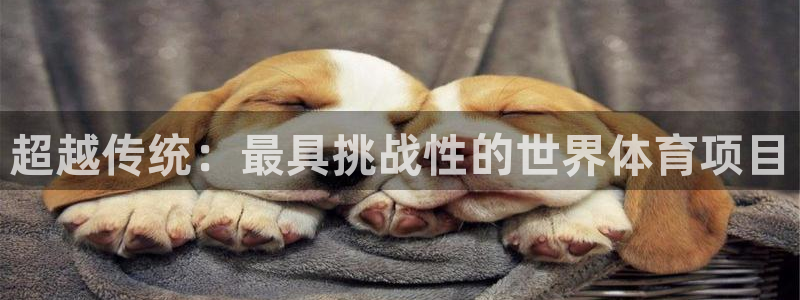 谈球吧体育：超越传统：最具挑战性的世界体育项目