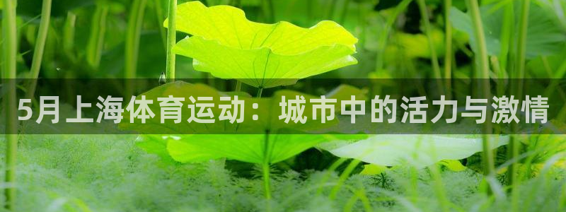 谈球吧体育官网：5月上海体育运动：城市中的活力与激情