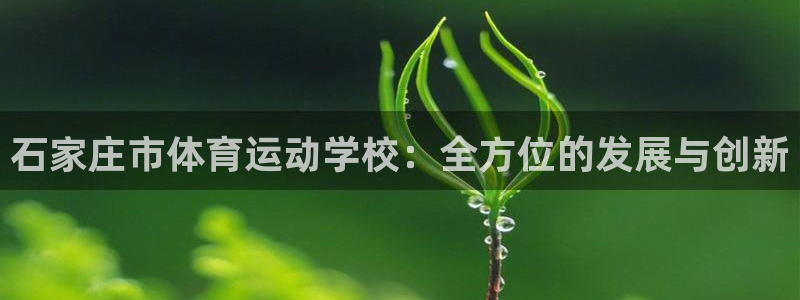 谈球吧体育：石家庄市体育运动学校：全方位的发展与创新
