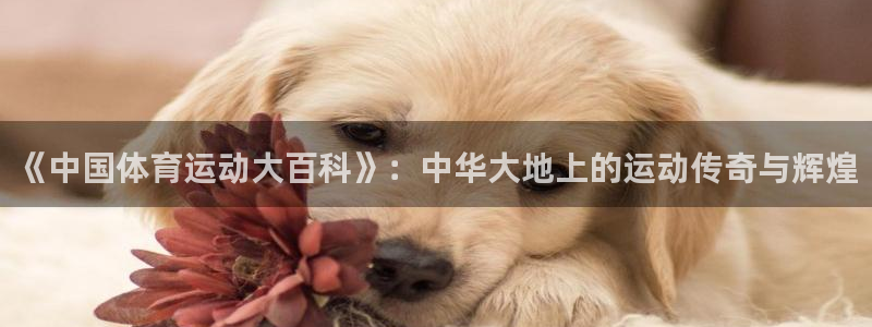 谈球吧体育官网：《中国体育运动大百科》：中华大地上的运动传奇与辉煌