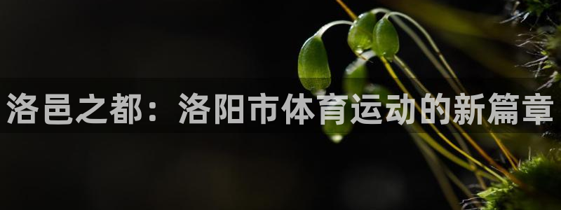 谈球吧体育：洛邑之都：洛阳市体育运动的新篇章