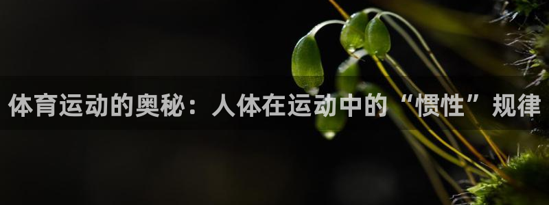 谈球吧：体育运动的奥秘：人体在运动中的“惯性”规律