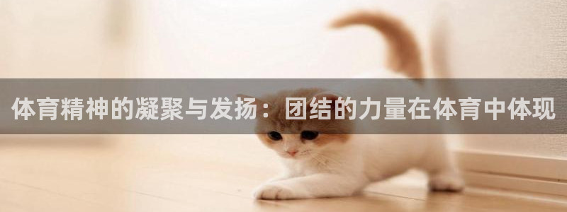 谈球吧体育官网：体育精神的凝聚与发扬：团结的力量在体育中体现