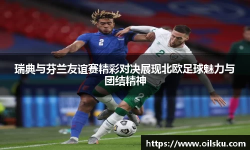 瑞典与芬兰友谊赛精彩对决展现北欧足球魅力与团结精神